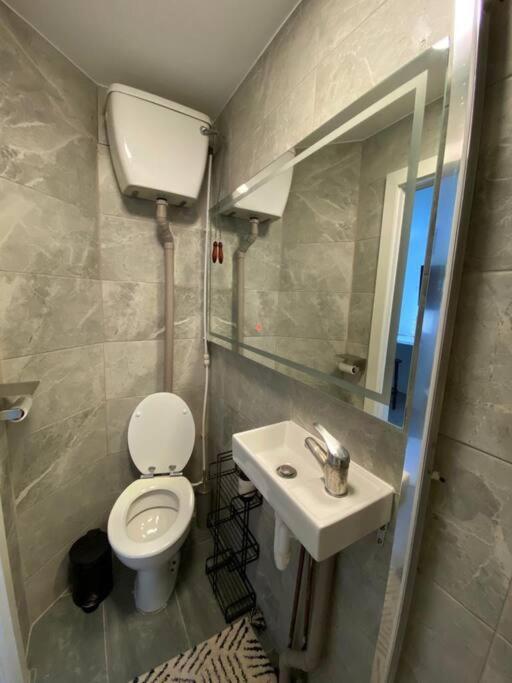 One Bedroom Putney Village Flat Londyn Zewnętrze zdjęcie