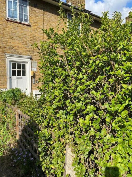 One Bedroom Putney Village Flat Londyn Zewnętrze zdjęcie