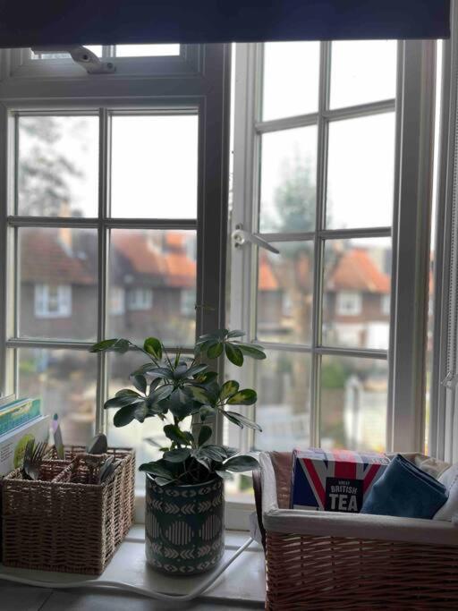 One Bedroom Putney Village Flat Londyn Zewnętrze zdjęcie
