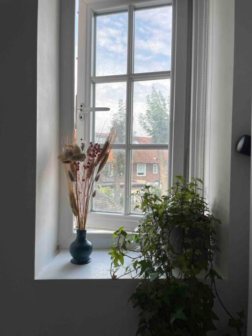 One Bedroom Putney Village Flat Londyn Zewnętrze zdjęcie