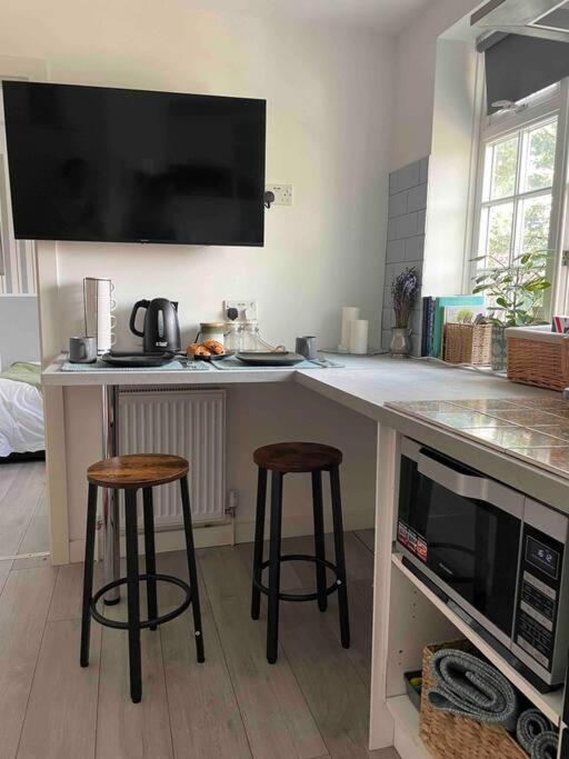 One Bedroom Putney Village Flat Londyn Zewnętrze zdjęcie